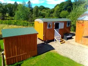 Waterloo Farm Shepherds Hut Glamping and Sun Lounge - Delvine
