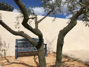 Maisons de vacances Les Mazets et Spa D'Uzes : photos des chambres