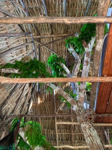 The Republic of corn