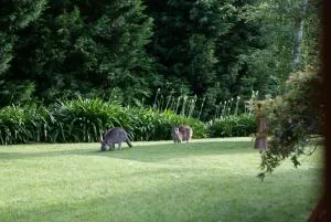 Bundanoon @2578 - Exeter