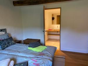 B&B / Chambres d'hotes L' Angelot : photos des chambres