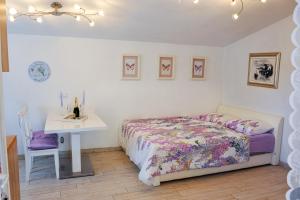 STUDIO HOUSE SECRET GARDEN 1