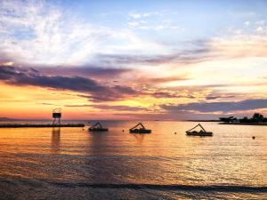 STUDIO HOUSE SECRET GARDEN 1