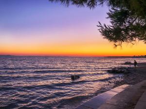 STUDIO HOUSE SECRET GARDEN 1