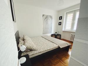 Apartament 23