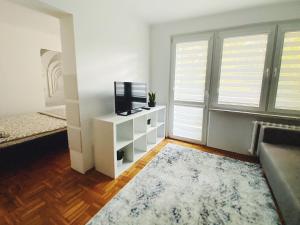 Apartament 23