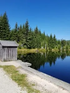 Apartments bei Familie Liebl - Sankt Oswald