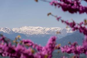 Olympic Apartments Olympos Greece