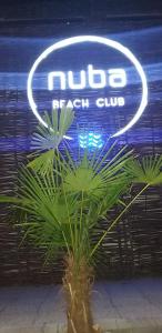 Summerland Sea View Apartment