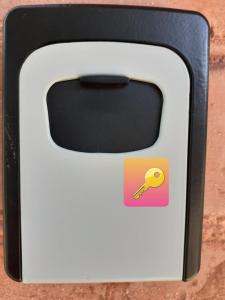 Beachside Oak Studio