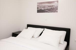 Studio apartments Tara 