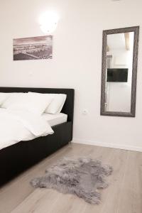 Studio apartments Tara 