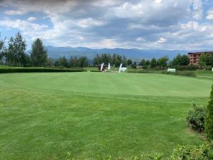 Aspen Golf and Ski Resort A233