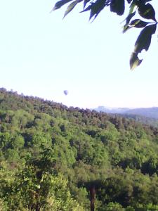 Petit chalet de montagne