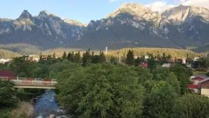 Edan Apartament - 布什泰尼