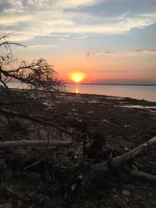 THE VAN - Porchfield