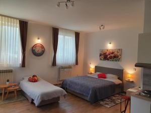 Studio apartmani Toplička bajka
