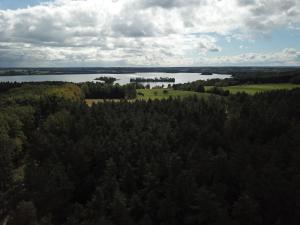 Mieszkanie nad jeziorem Rydzówka+prywatny staw+plaża+Mazury