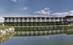 Sand Martin - Bakov nad Jizerou