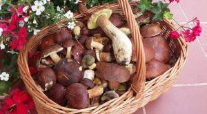 Agroturystyka Rębowo