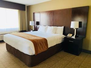 Comfort Inn & Suites Mojave