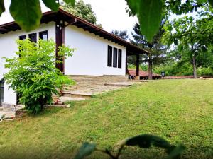 Бор и Шишарка