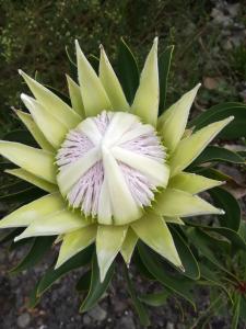 Avondsrus Guesthouse