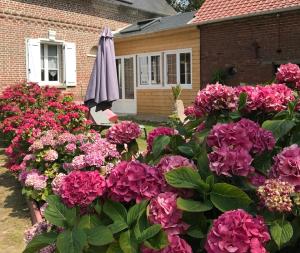 Maisons de vacances La Ferme de la Croix : photos des chambres