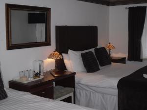 Standard Triple Room room in Richmond Hotel