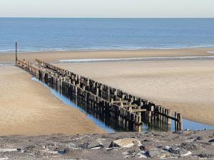 Tinyhouse de tuinfluiter