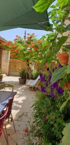 Maisons de vacances Sources en Perigord : photos des chambres