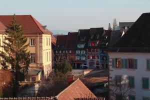 Appartements Sous les toits du Zinc - Climatise : photos des chambres