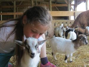 Sejours a la ferme Parc animalier du Herisson : photos des chambres