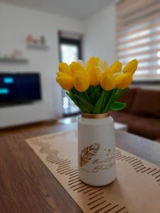 Apartman petica Kovačević