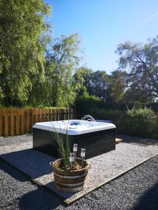 B&B / Chambres d'hotes LE DOMAINE DE COAT ROGAN L'espace familial : photos des chambres