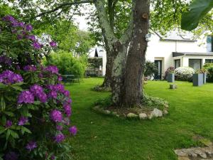 B&B / Chambres d'hotes Ty Coz Breizh Chambres d'hotes : photos des chambres
