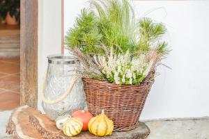 Beim Kreuzfelder Gambskogel