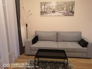 Apartament Zuza