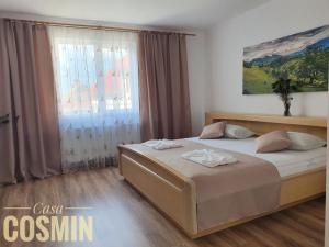 Casa Cosmin Cincu