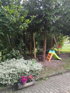 Zöld Oliva Apartman