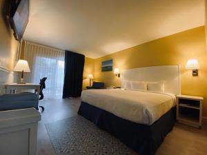 Standard King Room room in Monterey Bay Lodge