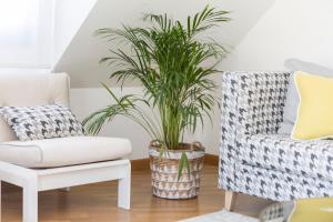 Apartamento boutique con terraza y vistas al mar. Porto Vilanova