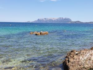 Home on Sardinia beach img44