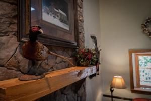 Woodsong Cottage - Charming 2BR Secluded Cottage Near Branson on 40 Acres Hot Tub Foosball Table, Ferienhäuser Blue Eye - big - 24