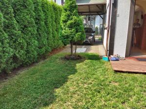 Dom letniskowy Dorota