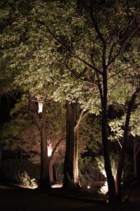 Hotel Boutique Rancho San Juan Teotihuacan