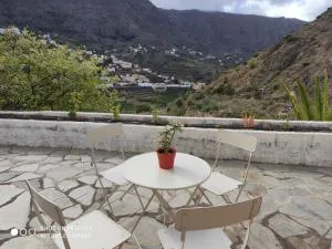 LA BARSONERA - El Cedro