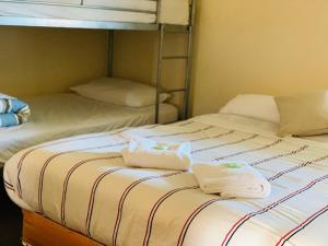 쿠팅갈 Kootingal Hotel 호텔 스위트룸
