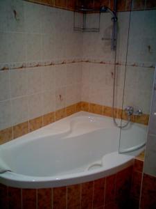 Ubytování v Mladých Bukách