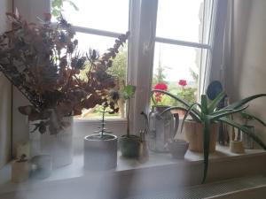 L'aveuglette photo 18